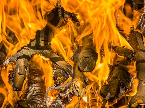 Beautiful orange fire, the flame of fire on wood, fireplace fiery close-up.  Hot Burning flames of fire.