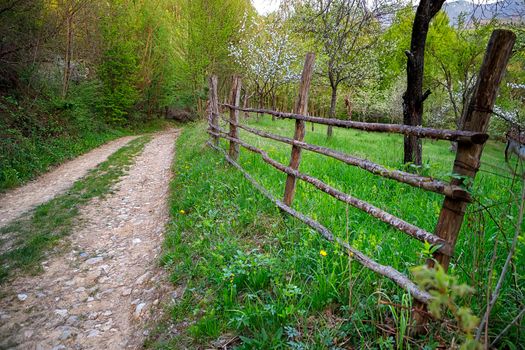 The country road and handmade fence of tree trunks. Rural landscape, nature wallpaper background.