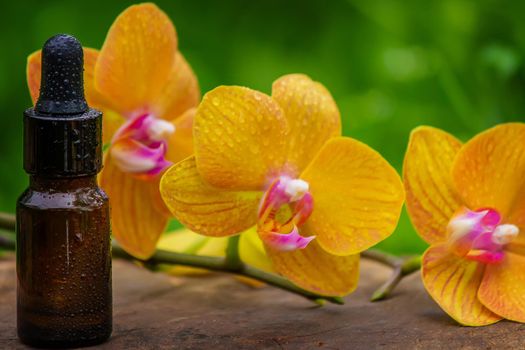 Massage oil and stones with yellow orchid. Natural oils. Selective focus.