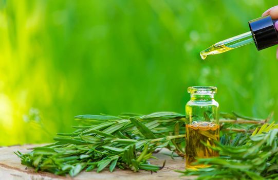 Rosemary oil bottle on wooden background. Essential oil, natural remedies. Nature. Selective focus