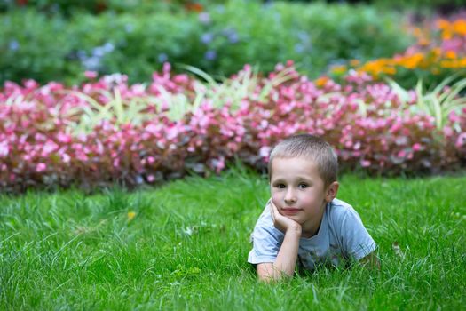 A little boy lies on the grass among the flowers. Satisfied kid. A child resting lying on the grass