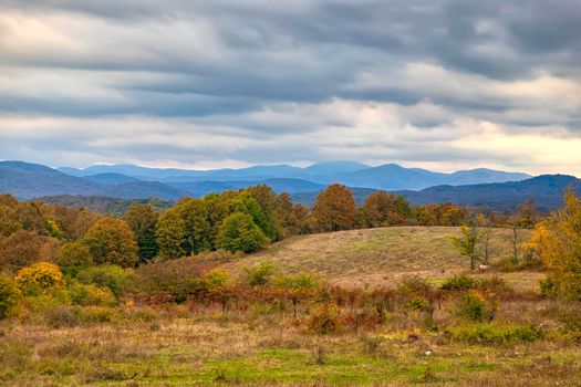 Beauty vast landscape of autumn fields and meadows 