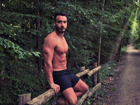 Handsome Muscular Shirtless Hunk Man Outdoor in Country Sitting on Wood Fence. Showing Healthy Muscle Body While Looking at Camera