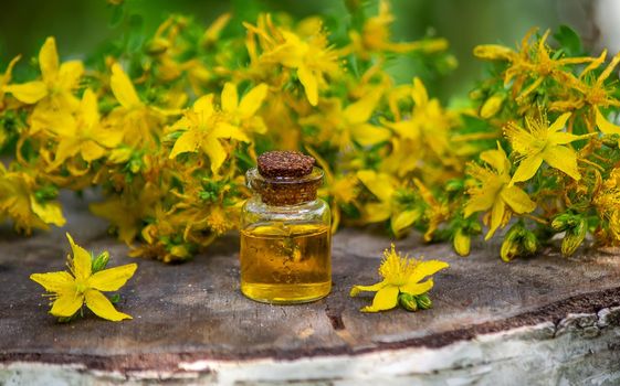 St. John's wort flower oil in a glass bottle. on a wooden background. Selective focus