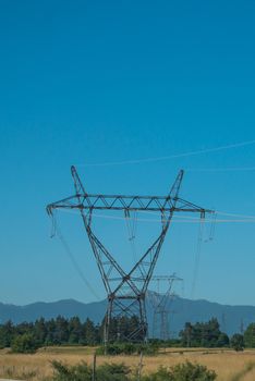 High voltage pole with blue sky, blue sky, trees and grass.