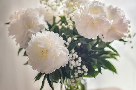 White peonies flowers in a vase on white background