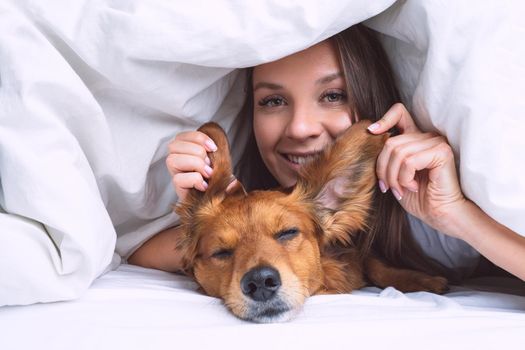 Beautiful woman with funny long haired dachshund dog lying under the blanket in the bed. Dog and owner friendship. High quality photo