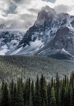 Tall snow-capped Tower over vast Pine Forests