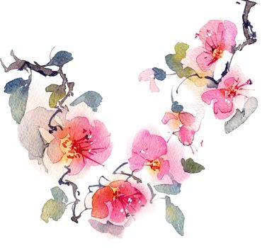 Watercolor painting of blossom tree branch, flowers and leaves, artistic hand-drawn illustration