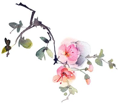 Watercolor painting of blossom tree branch, flowers and leaves, artistic hand-drawn illustration
