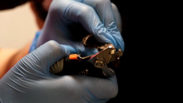 Veterinarian in medical gloves cuts the claws of a dog in the clinic. The concept of veterinary medicine, animal care, animal health, grooming, pet grooming salon.