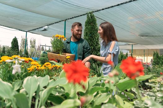 Garden centre worker selling potted plant to female customer