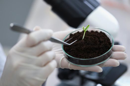 Close-up of scientist taking analysis of soil sample with young plant. Worker doing investigation in laboratory. Modern equipment, science, discovery, biology concept