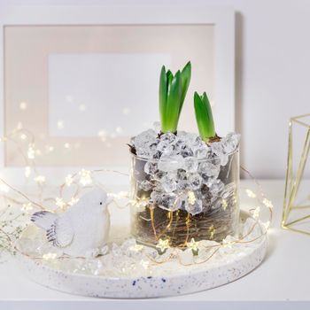 Two unopened hyacinths in a glass vase with artificial ice. Interior view in modern scandinavian style with painting canvas or poster on the wall. Living room, chest of drawers with vases.