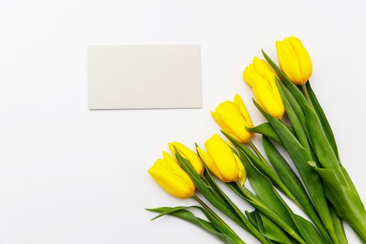 layout of yellow tulips on a white background