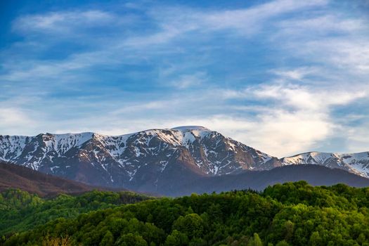 Sunny mountain scenery with vivid green forest on hill and snowy mountains in sunlight in low clouds.