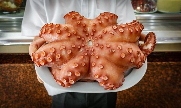 Waiter with plate of raw octopus, focus on octopus