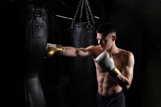 The bag blows boxer the practices athlete glove black young professional body, from strength gloves in combat and fist guy, studio aggression. Backlit victory people, fitness