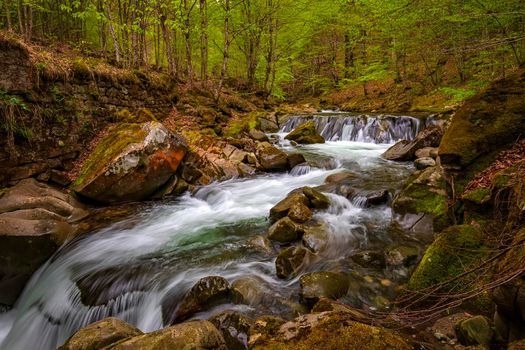 beautiful long exposure view of flowing water in the river with rocks in the forest