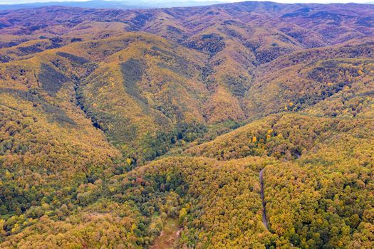 Drone Aerial View view of mountain hills. Hilltops covered with autumn forest.