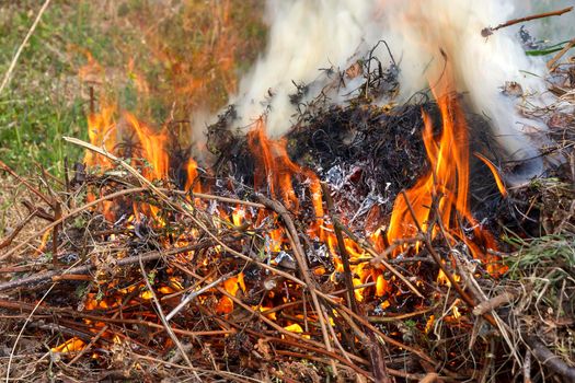 Fire in the garden, weeds, and branches are burning after harvest. Garden maintenance in late summer or autumn