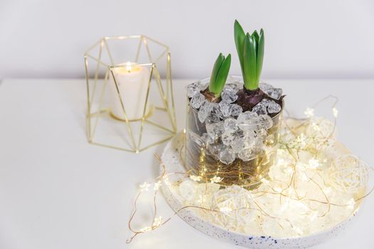 Two unopened hyacinths in a glass vase with artificial ice. Interior view in modern scandinavian style with painting canvas or poster on the wall. Living room, chest of drawers with vases.