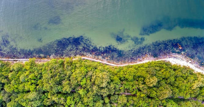Aerial top view from drone to the coastline covered with green forest near the sea.