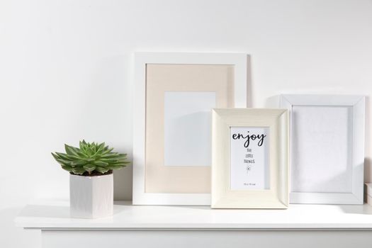 Echeveria plant in a ceramic pot, two photo frames with space for text.