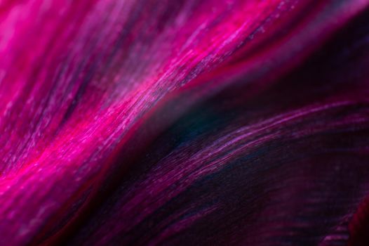 Extreme macro Bright close-up of a flower petal in pink. Abstract flower petal texture background