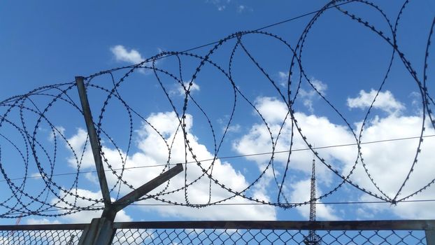  Day view of barbed wire fence. Close