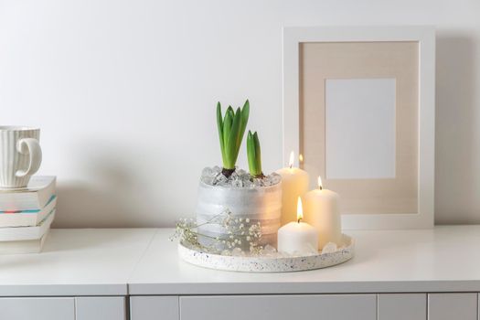 Unblown hyacinths with burning candles on a wooden vintage tray. Palm tree shadow on the wall. Home decoration for spring