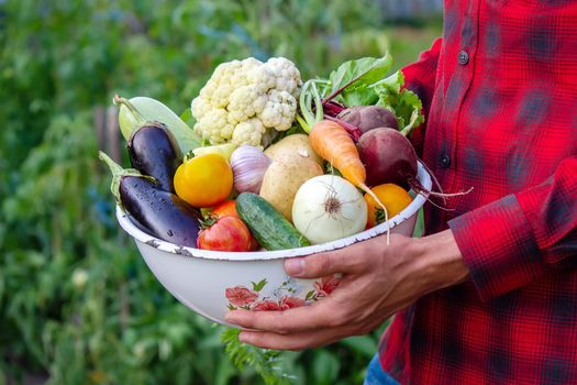 a man holds vegetables from a farm in Minsk. Nature