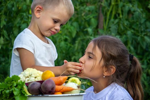 vegetables in the hands of children on the farm. Selective focus. Nature