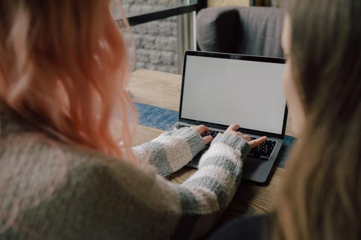 two happy young women sitting in coffee shop looking at laptop computer together. rear view