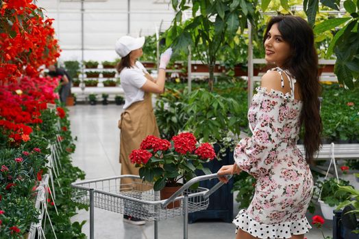 Charming young woman with dark wavy hair walking with shopping trolley at greenhouse and choosing flowers. Concept of houseplants, shopping and orangery.