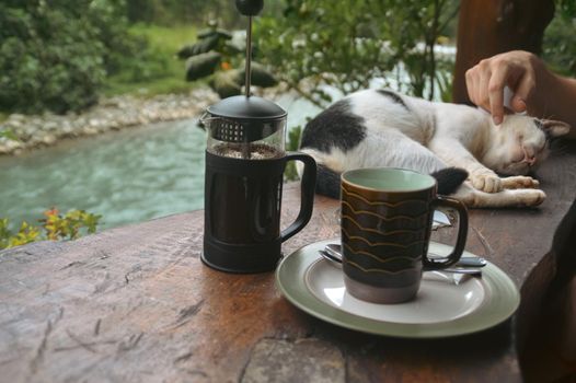Relaxing coffee time with a pet cat showing the fresh aesthetic of Spring season, wellness and simplicity of life