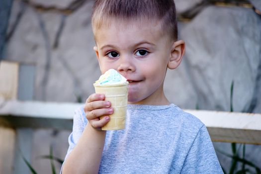 child eats ice cream in nature, ice cream in a cup. Nature. Selective focus