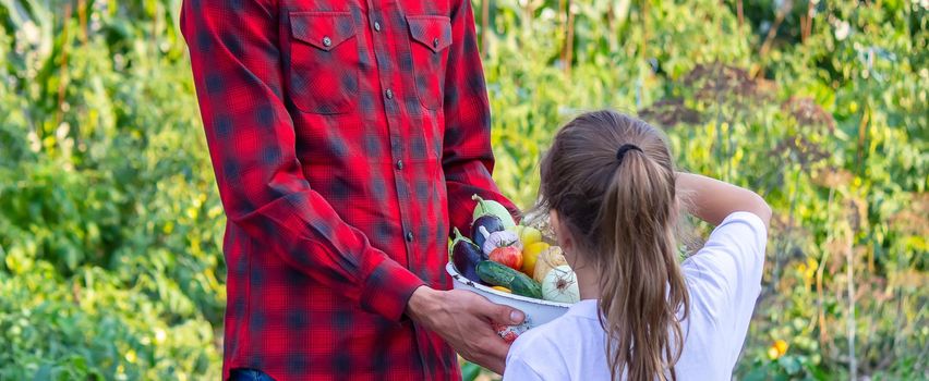 a man holds a bowl of fresh vegetables from the farm in his hands. Nature. Selective focus