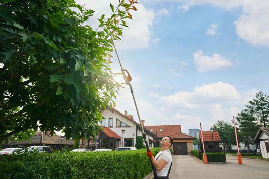 Professional gardener in uniform, safety mask and gloves pruning hedge during summer days. Caucasian man using hand electric trimmer for work with green plants.