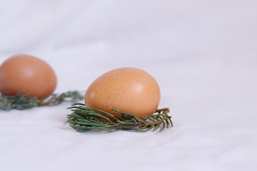 Bright and airy simple Easter aesthetic background of two brown egg nestled on a nest of spruce leaves
