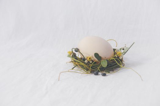 Delicate nest of flowers cradling an egg, Easter theme background