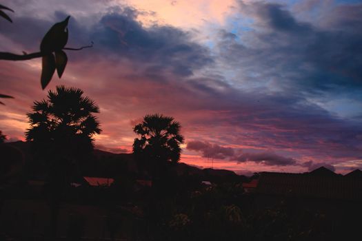 Palm tree silhouettes framing the dramatic sunset sky in Kampot, Cambodia