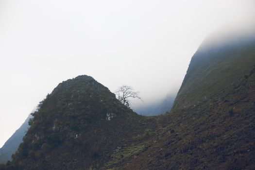 Thick fog descending over the karst mountains in Dong Van Karst Plateau Geopark in Vietnam