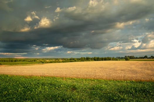 Dark cloud over the farmland, summer view