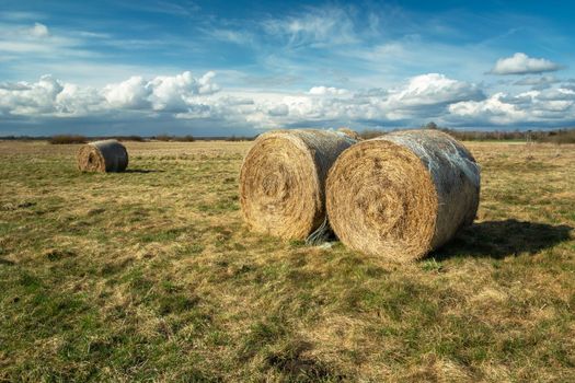 Round hay bales in the meadow and cloudy sky, spring day