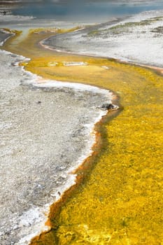 Steamy thermal river flowing into Yellowstone Lake