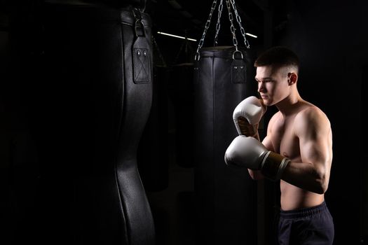 The blows practices bag boxer athlete the glove black young professional body, from strength muscle in punch from exercise lifestyle, sportswear sweat. Backlit model people, one