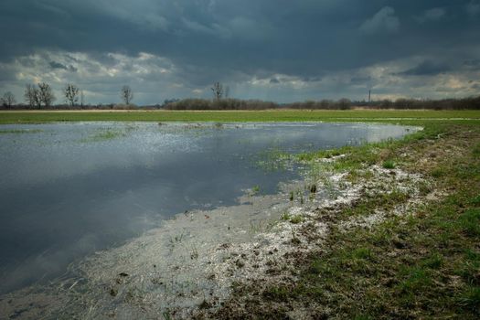 Rainwater on the meadow and cloudy sky, spring day