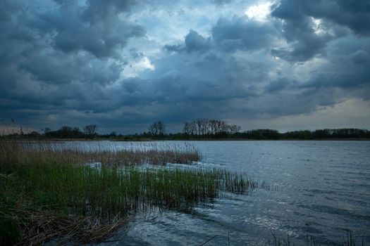 Cloudy sky over a lake with reeds, Spring view