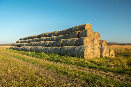 A long pile of hay bales at a dirt road, autumn day